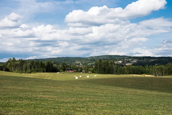 Field — Stock Photo, Image