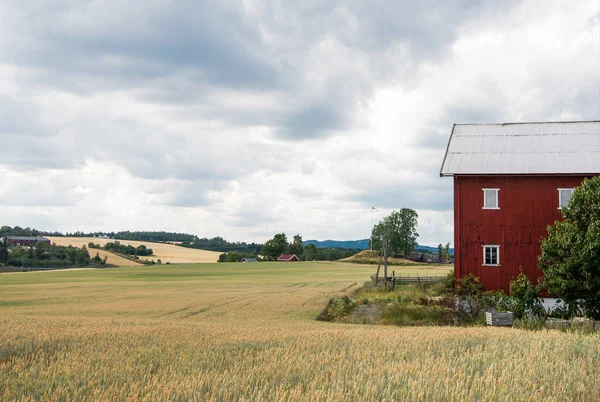 Landbouw — Stockfoto