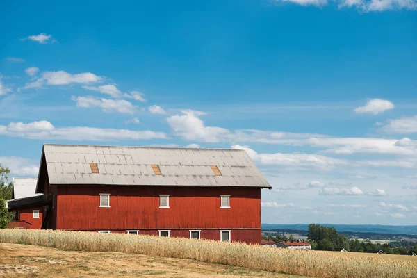 Edifício Vermelho Fazenda Sob Céu Nublado Azul Hamar Hedmark Noruega — Fotografia de Stock