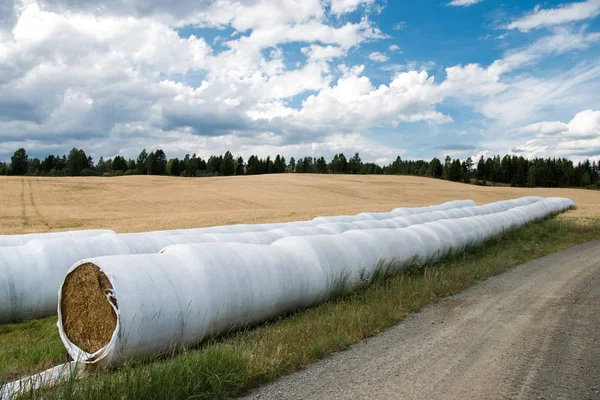 Höstackar — Stockfoto