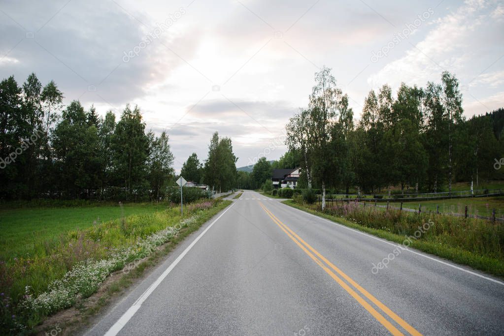  road with trees and cloudy sky in Trysil, Norway's largest ski resort 