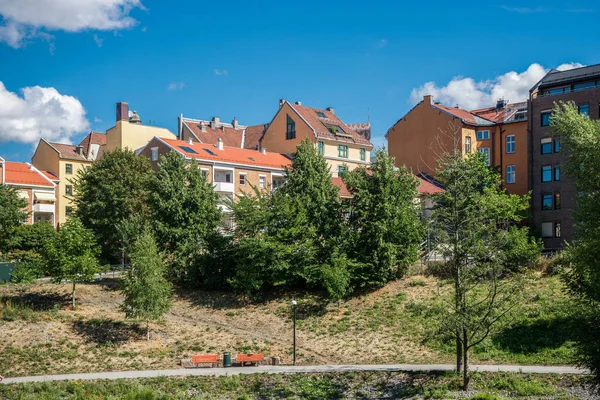 Callejón Vacío Con Bancos Árboles Verdes Casas Día Soleado Oslo Fotos De Stock