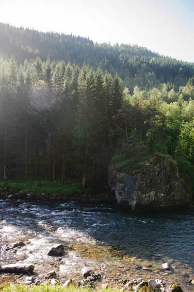 Beau paysage avec rivière et forêt à Gudvangen, Neirofjord, Norvège — Photo de stock