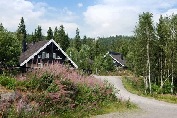 TRYSIL, NORVÈGE - 26 JUILLET 2018 : maisons de vie noires près de la forêt à la plus grande station de ski Trysil en Norvège — Photo de stock