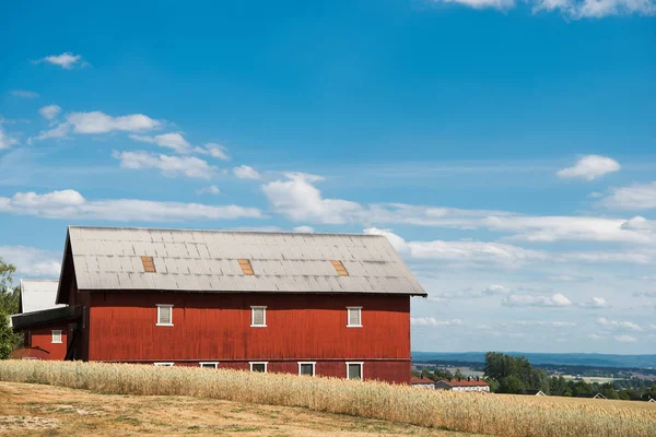 Red farm building under blue cloudy sky, Hamar, Hedmark, Norway — Stock Photo