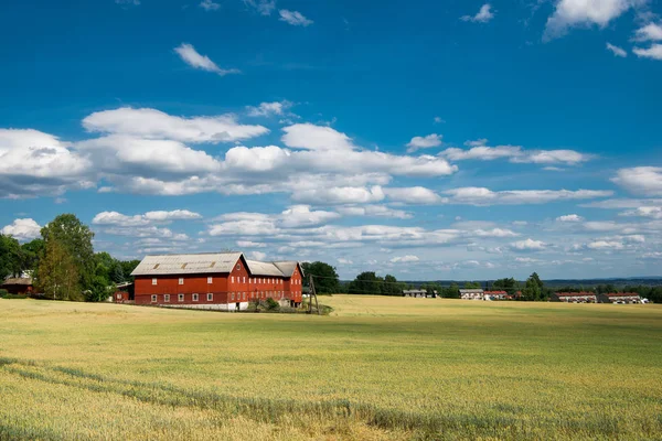 Escena rural con campo y casas bajo cielo azul, Hamar, Hedmark, Noruega - foto de stock