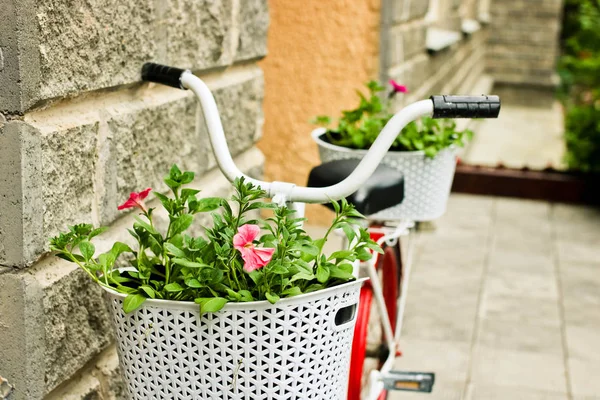 Bici decorativa con cesti di fiori vicino all'edificio vintage . — Foto Stock