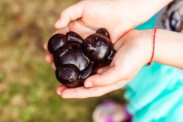 Детское мыло в форме медведя в маленьких руках девочки
.