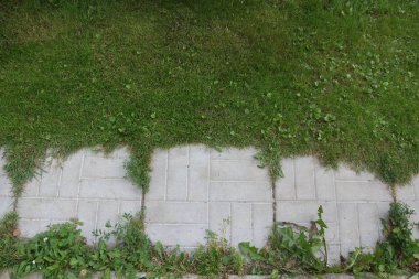 Eski döşeli kaldırım doku