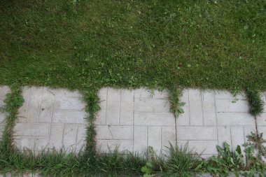 Eski döşeli kaldırım doku