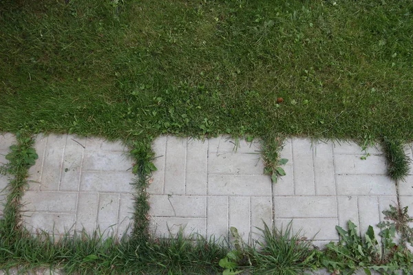 Eski döşeli kaldırım doku