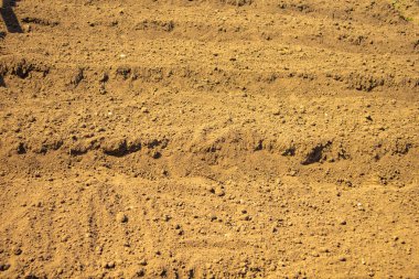 kum grunge arka plan dokusu