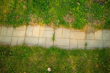 beton yol üzerinde yeşil od