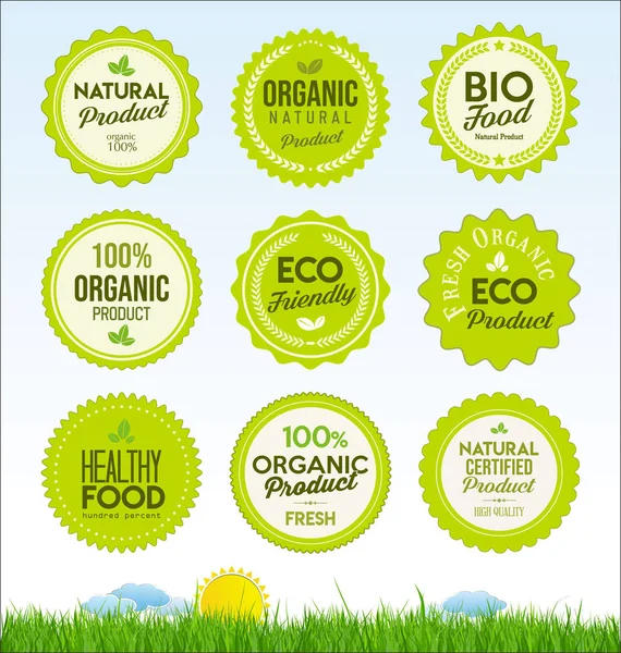 Set Healthy Organic Farm Fresh Product Badges — Stock Vector