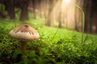 Sierra de los Filabres, her şey çöl ve plaj nerede Almeria eyaletinin en zıt senaryolardan birini manzara.