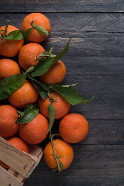 Tablo ve küçük bir ahşap kutu yerleştirilir onların yeşil yaprak taze tanenler