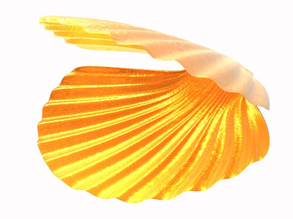 Beyaz zemin üzerine altın kaplı bir açık deniz kabuğu. 3D render.