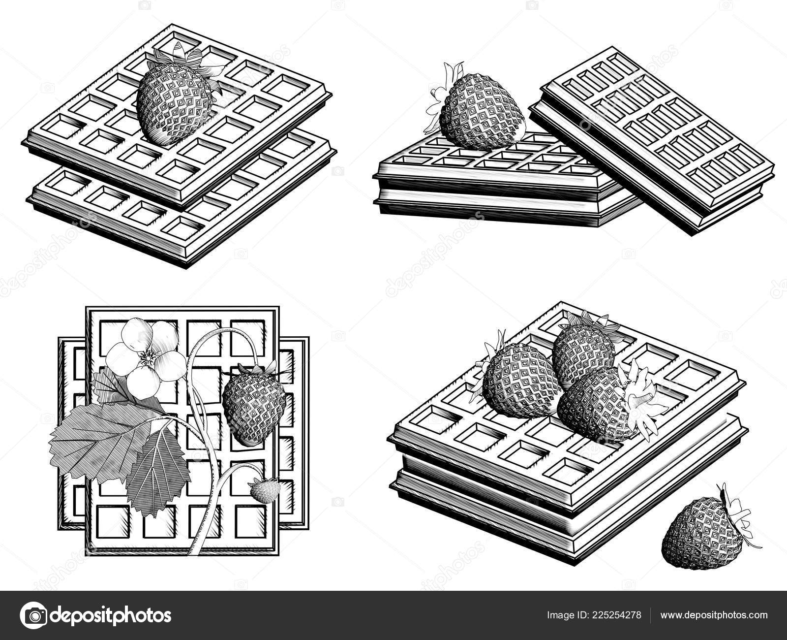 Four Varieties Belgian Waffles Strawberries White Background Black White Drawing Stock Photo By C Arkdim