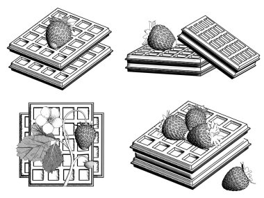 Beyaz bir arka plan üzerinde çilek ile Belçika Waffle dört çeşidi. Siyah ve beyaz çizim. 3D görüntüleme