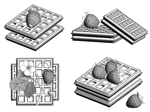 四种比利时华夫饼 白色背景上有草莓 黑白绘图 可视化 — 图库照片