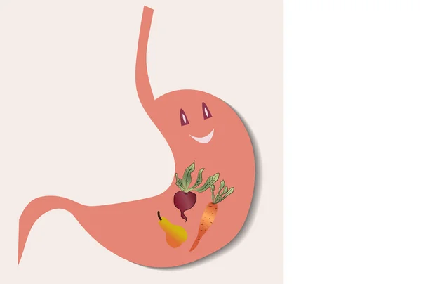 Lindo Carácter Estomacal Concepto Alimentación Saludable Ilustración Frutas Verduras Dentro — Archivo Imágenes Vectoriales