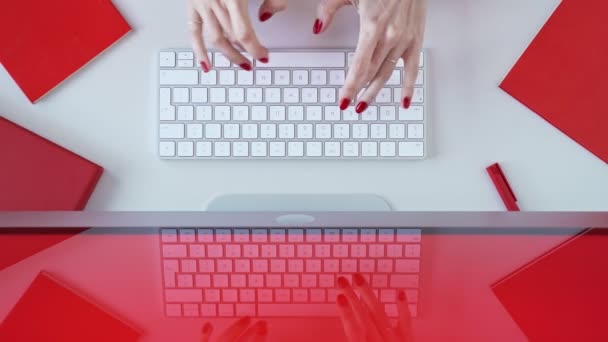 Mujer Escribiendo Teclado Oficina — Vídeo de stock