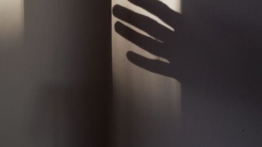 Duvarda ellerin gölgesi var. Işık ve gölgeli oyunlar. Soyut gölgeler. El siluetleri. Perdelerin arasından geçen altın güneş ışığı. Parmaklar cama vurur.