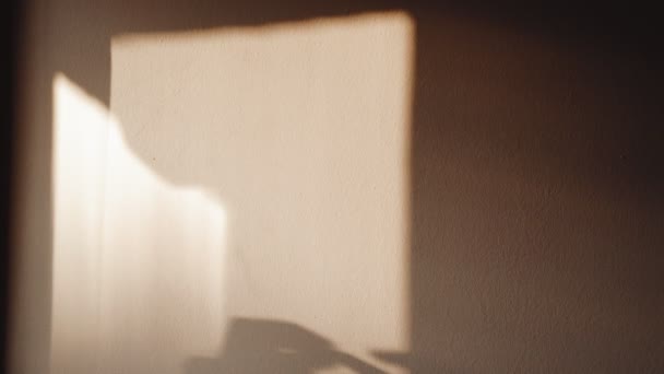 Schatten der Hände an der Wand. Spiele mit Licht und Schatten. Abstrakte Schatten. Silhouetten von Händen. Goldenes Sonnenlicht durch die Vorhänge. Finger tippen auf Glas. — Stockvideo