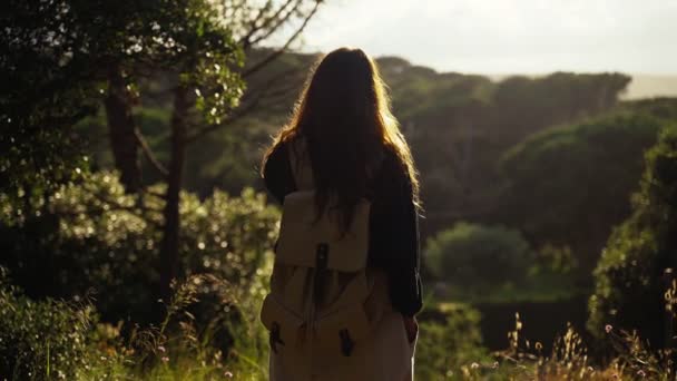 Caminhadas. Uma menina com uma mochila fica em um caminho florestal e desfruta de um belo pôr do sol. Luz dourada na floresta verde. Caminhada na floresta. Dia de verão ensolarado. Caminhando entre as árvores e flores. Feriados . — Vídeo de Stock