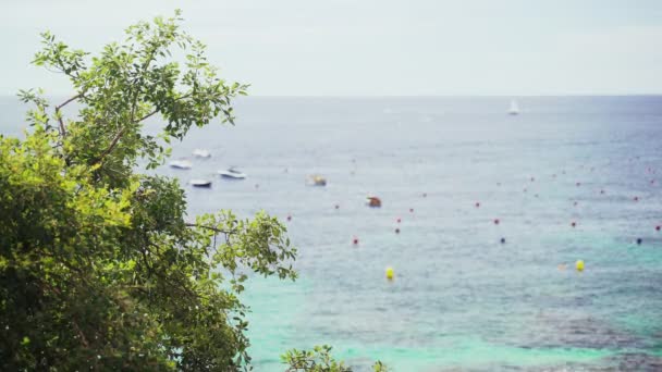 Widok z góry przez drzewa piękne przejrzyste morze. Parking łodzi w zatoce turkusowej. Małe łodzie kołyszą się na szmaragdowych falach. Słoneczny letni dzień. Wakacje na wybrzeżu. Działalność morska. Drewno zielone — Wideo stockowe