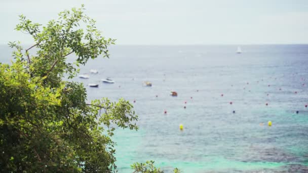 Vista dall'alto attraverso gli alberi di un bellissimo mare trasparente. Parcheggio barche nella baia turchese. Piccole barche ondeggiano sulle onde di smeraldo. Giornata estiva soleggiata. Vacanze sulla costa. Attività in mare. Legno verde — Video Stock