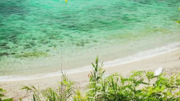 Ovanifrån av ett vackert öppet hav. Turkosa viken. Smaragdvågor plaskar längs den steniga stranden. Solig sommardag. Semester vid kusten. Färskvatten. Gröna växter svajar i vinden. — Stockvideo