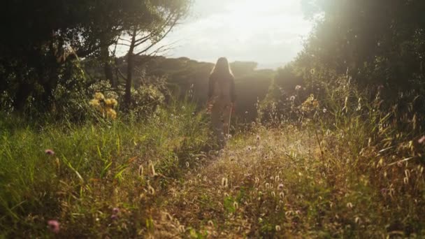 Jag vandrar. En flicka med ryggsäck går på en skogsstig och njuter av en vacker solnedgång. Gyllene ljus i den gröna skogen. Skogsvandring. Solig sommardag. Går bland träd och blommor. Semester. — Stockvideo