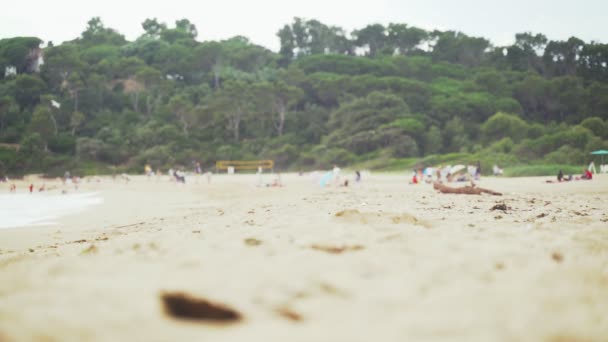 En la playa de arena en una bahía de pinos. Ondas de espuma blanca. En el fondo, la gente se relaja en la playa. Actividad de playa. La gente nada, toma el sol y camina a lo largo de la orilla del mar. Juega al voleibol. — Vídeos de Stock