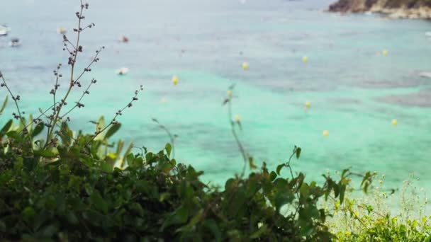 Vue de dessus à travers les arbres d'une belle mer transparente. Parking bateau dans la baie turquoise. De petits bateaux se balancent sur les vagues d'émeraude. Journée ensoleillée d'été. Vacances sur la côte. Activités en mer. Bois vert