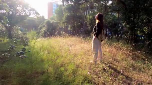 远足。一个背着背包的女孩站在森林的小径上，享受着美丽的落日。绿林中的金光。森林远足。阳光灿烂的夏日。漫步在树木和花朵之间。假日. — 图库视频影像