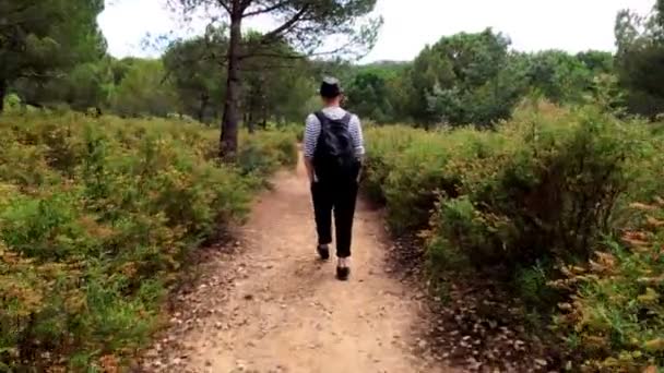 Túrázni. Egy kalapos férfi hátizsákkal az erdei ösvényen sétál. Kirándulás az erdőben. Arany fény a zöld erdőben. Erdei túra. Napfényes nyári nap. Séta a fák között. Nyaralás vidéken. — Stock videók