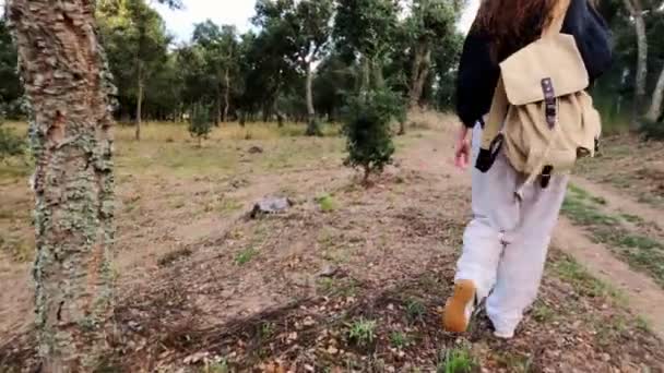 Escursioni. Una ragazza con uno zaino cammina sulla strada di campagna. Escursioni in campagna. Luce dorata nei campi verdi. Giornata estiva soleggiata. Camminando tra gli alberi. Vacanze in campagna. — Video Stock