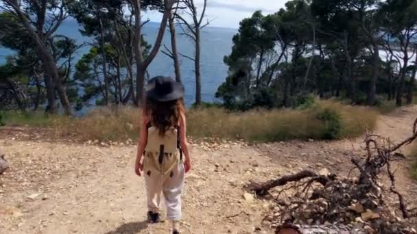 Туризм. Девушка с рюкзаком ходит по лесной тропинке вдоль синего моря. Пешком по лесу. Золотой свет в зеленом лесу. Лесной поход. Солнечный летний день. Ходить среди деревьев. Праздники . — стоковое видео