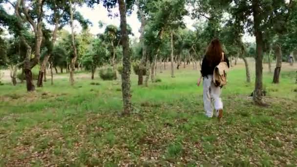 Caminhadas. Uma menina com uma mochila caminha em um caminho florestal. Caminhadas na floresta. Luz dourada na floresta verde. Caminhada na floresta. Dia de verão ensolarado. Caminhando entre as árvores. Férias no campo . — Vídeo de Stock