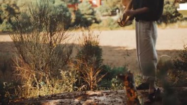 Genç bir kadın ormanda dinleniyor. Siyah gömlekli ve hasır şapkalı bir kız devrilmiş bir ağaca oturur ve sırt çantasını toplar. Köyde bir tatil. Güneşli bir yaz günü. Rüzgar saç savuruyor. Gezgin. Yürüyüş.