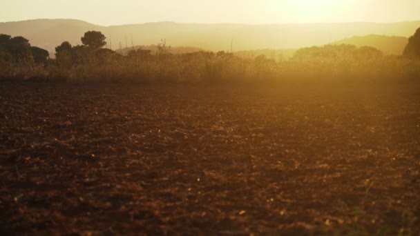 Prachtig veld tussen de bomen en bergen bij zonsondergang. Gouden licht. De gouden zon schijnt van achter de bergen. Vakantie in het dorp. Landelijk uitzicht. Vakantie op het platteland. — Stockvideo