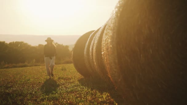 Jovem caminha ao longo de um belo campo entre a floresta e as montanhas ao pôr do sol. Menina em uma camisa preta e um chapéu de palha caminha em um campo inclinado com pilhas. Férias na aldeia. Noite dourada . — Vídeo de Stock