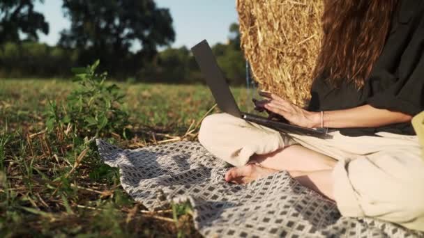 Молодая женщина работает с ноутбуком в поле. Девушка в черной рубашке и соломенной шляпе сидит, опираясь на стог сена и печатая на клавиатуре ноутбука. Отпуск в деревне. Солнечный летний день. Праздники — стоковое видео