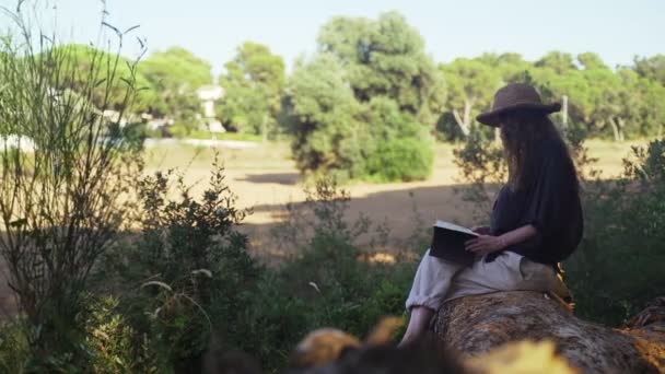 Uma jovem está lendo um livro na floresta. Uma menina em uma camisa preta e um chapéu de palha se senta em uma árvore caída e folheia através de um livro. Férias na aldeia. Dia de verão ensolarado. Vento sopra cabelos longos . — Vídeo de Stock