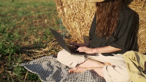 Seorang wanita muda bekerja dengan laptop di lapangan. Seorang gadis dalam kemeja hitam dan topi jerami duduk bersandar pada tumpukan jerami dan mengetik pada keyboard laptop. Liburan di desa. Hari musim panas yang cerah. Liburan — Stok Video