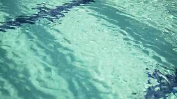 Klart poolvatten. Turkos sötvatten i poolen en varm dag. Lätta ringar på vattenytan. Sommarlov. Fräschhet och svalka en solig dag. Leken av ljus på vatten ringar. — Stockvideo