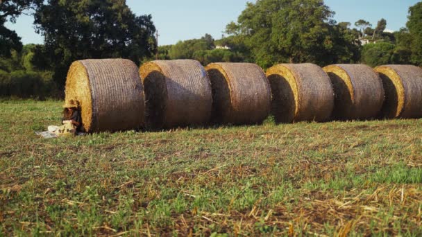 Uma jovem relaxa no campo. Uma menina de camisa preta e um chapéu de palha sentada em um palheiro e desfrutando de sol dourado. Férias na aldeia. Dia de verão ensolarado. Férias no campo . — Vídeo de Stock