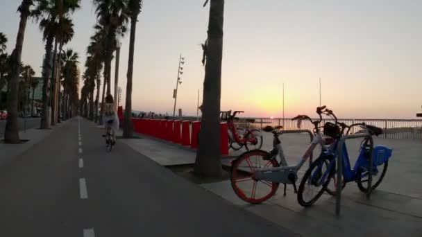 Meisje met rugzak fietst over het fietspad op de dijk. Fietsen langs de zee. De ochtendstad wordt wakker. Kust met bomen en palmen tegen de achtergrond van de opkomende zon. — Stockvideo