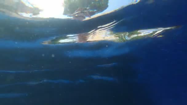 Mädchen im schwarzen Bikini steht am Beckenrand. Schießen aus dem Wasser. Erfrischendes Schwimmbad im heißen Sommer. Spritzer und Blasen im blauen Wasser. Blick vom Boden des Pools. Sommerkälte. — Stockvideo